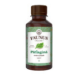 Patlagine Sirup, 200 ml, Faunus Pflanze