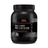 Gnc Amp Sustained Protein Blend Mezcla de Proteínas con Sabor a Grano Afrutado, 910 G