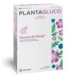 Plantagluco, 60 comprimidos, Vitaceutics