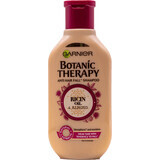 Champú Botanic Therapy con aceite de ricino y aceite de almendras, 250 ml