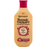 Champú Botanic Therapy con aceite de ricino, 400 ml