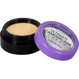 Catrice Ultimate Camouflage Corrector en crema 015 Fair, 3 g