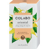 Perfume Oriental Colabo, 100 ml