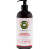 Green Feels Shampoo met gojivruchtenextract, 400 ml