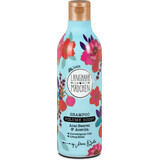 Langhaarmadchen Champú voluminizador con Acai y Acerola, 300 ml