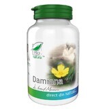 Damiana, 60 gélules, Pro Natura