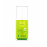 Deo Roll-On Citrus 24h, 50 ml, Weleda