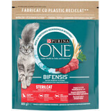 Purina One Pienso seco con carne de vacuno, 800 g