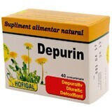 Depurin, 40 comprimidos, Hofigal