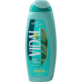 VIDAL White Musk Shower Cream, 500 ml