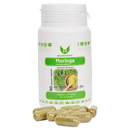 Moringa, 60 cápsulas, Blue Pheonix