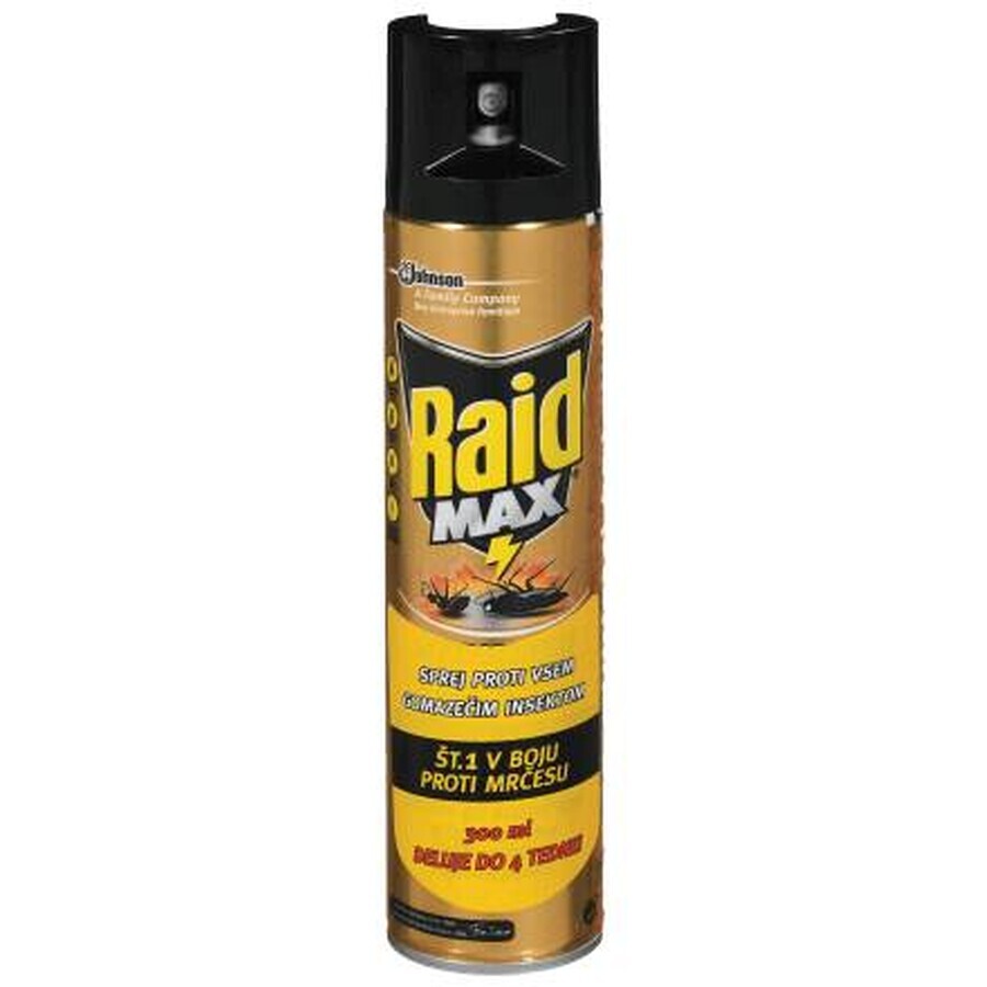 Raid Spray Cucarachas, 300 ml