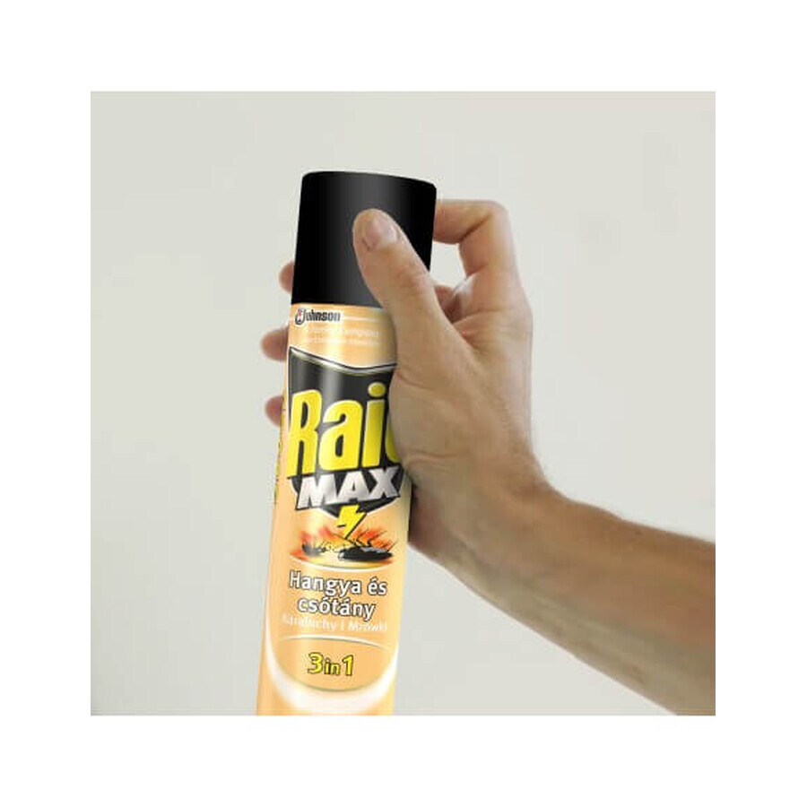 Raid Spray Cucarachas, 300 ml