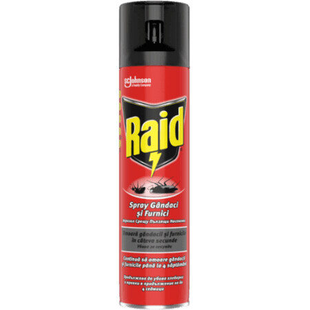 Raid Spray contro gli insetti striscianti, 400 ml