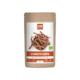 Cordyceps orgánico en polvo, 60 gr, Rawboost