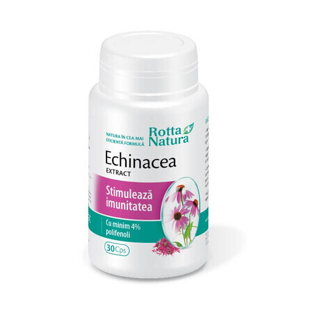 Echinacea-Extrakt, 30 Kapseln, Rotta Natura