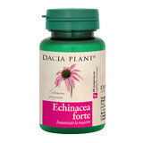 Echinacea forte, 60 tabletten, Dacia Plant