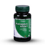 Extracto de astrágalo, 60 cápsulas, DVR Pharm