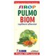 Pulmo Biom Jarabe, 200 ml, Elidior