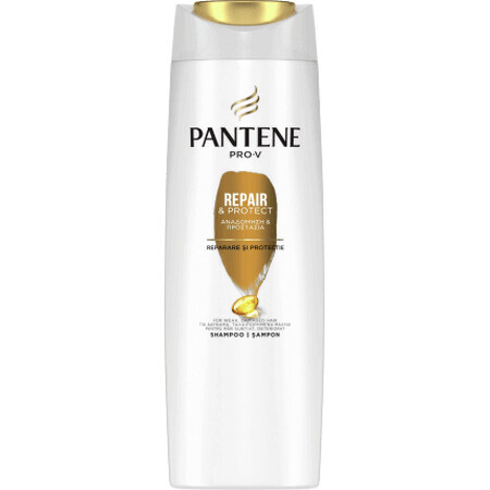 Pantene Pro-V Champú reparador y protector, 250 ml