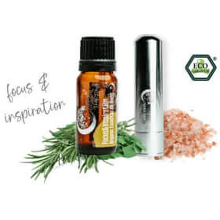 Terra Gaia Aroma Stick Set Concentración e Insipiración, 10 ml