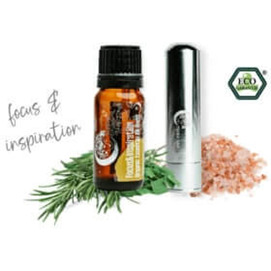 Terra Gaia Aroma Stick Set Concentración e Insipiración, 10 ml