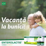 Enterolactis oral, 12 viales, Sofar