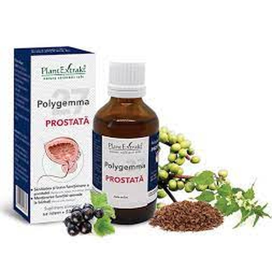 Polygemma 27 Prostata, 50ml, Pflanzenextrakt