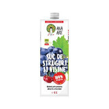 Grape and sour cherry juice, 1L, Ana Are