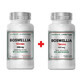 Boswellia Serrata, 500 mg, 60 + 30 c&#225;psulas vegetales, Cosmopharm