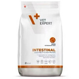 Droog hondenvoer Intestinal, 2 Kg, VetExpert