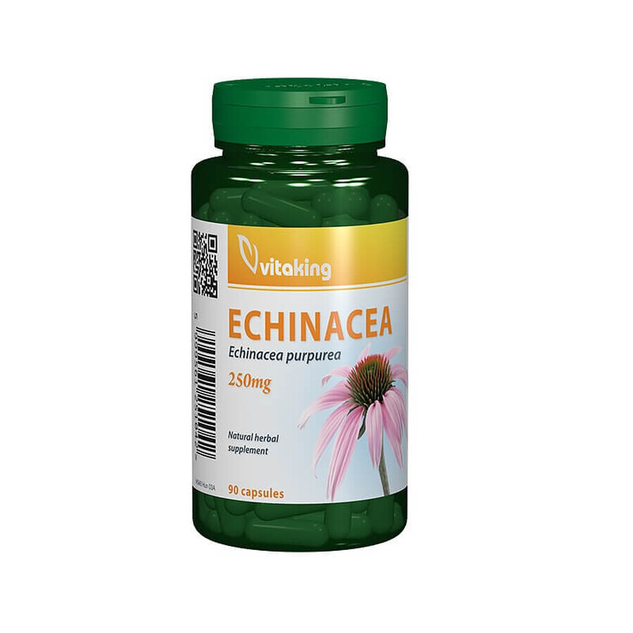 Extrait d'échinacée 250 mg, 90 gélules, Vitaking