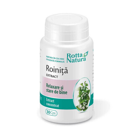 Rozemarijnextract, 30 capsules, Rotta Natura