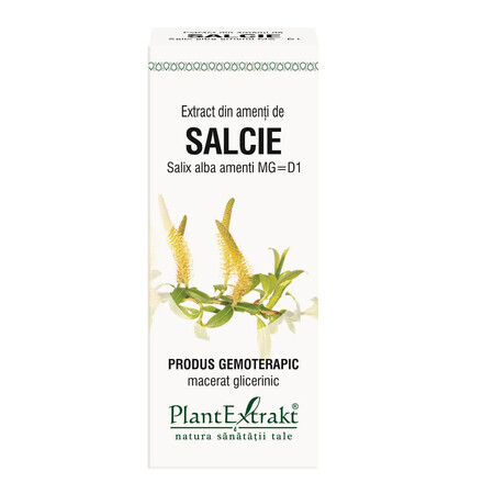 Weidenextrakt Salix, 50 ml, Pflanzenextrakt