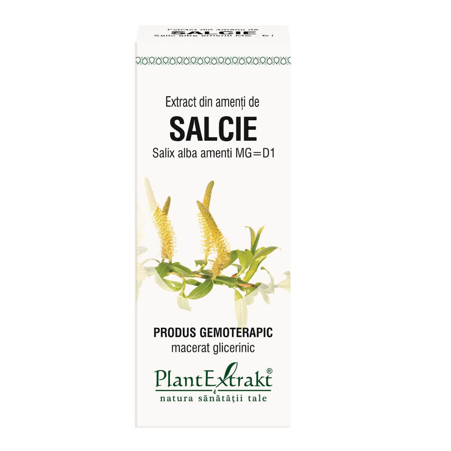 Weidenextrakt Salix, 50 ml, Pflanzenextrakt