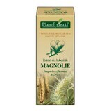 Extrait de bourgeon de magnolia, 50 ml, Plant Extrakt