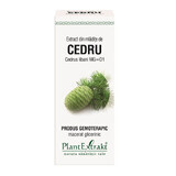 Extract din mlădițe de Cedru, 50 ml, Plant Extrakt