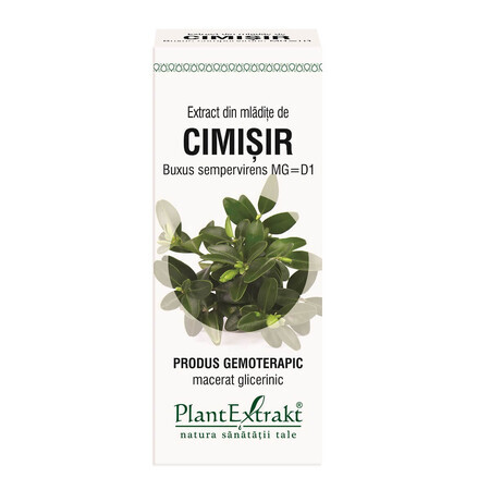 Extrait de bourgeons de Cimisir, 50 ml, Plant Extrakt