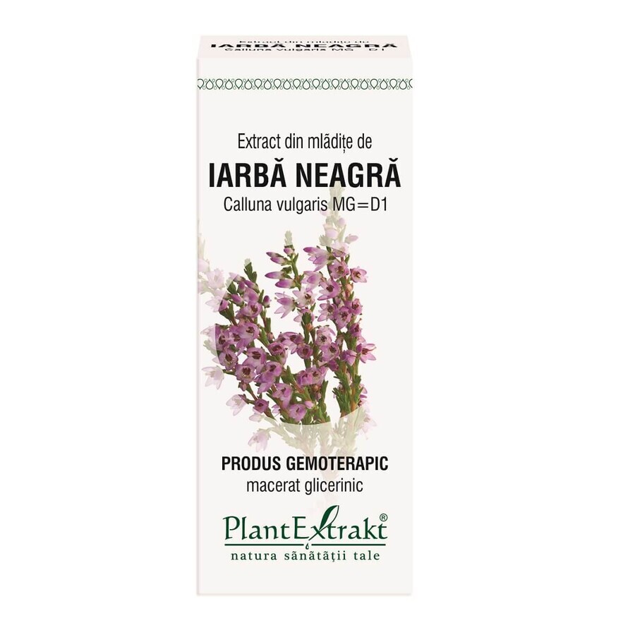 Extracto de brotes de hierba negra, 50 ml, Plant Extrakt