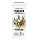 Extracto de yema de secuoya, 50 ml, Plant Extrakt