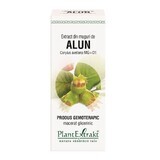 Extracto de brotes de avellano, 50 ml, Plant Extrakt