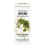 Extract din muguri de Arțar, 50 ml, Plant Extrakt