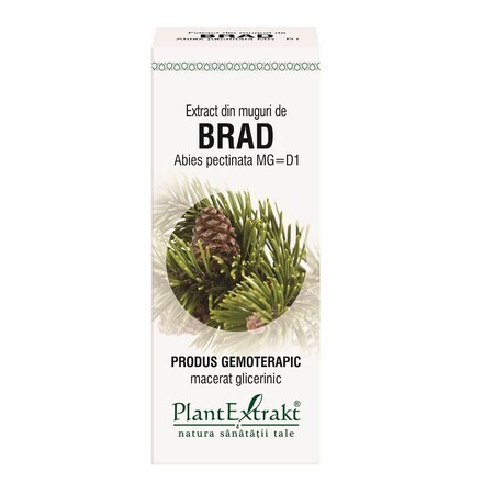 Extrait de bourgeons de Brad, 50 ml, Plant Extrakt