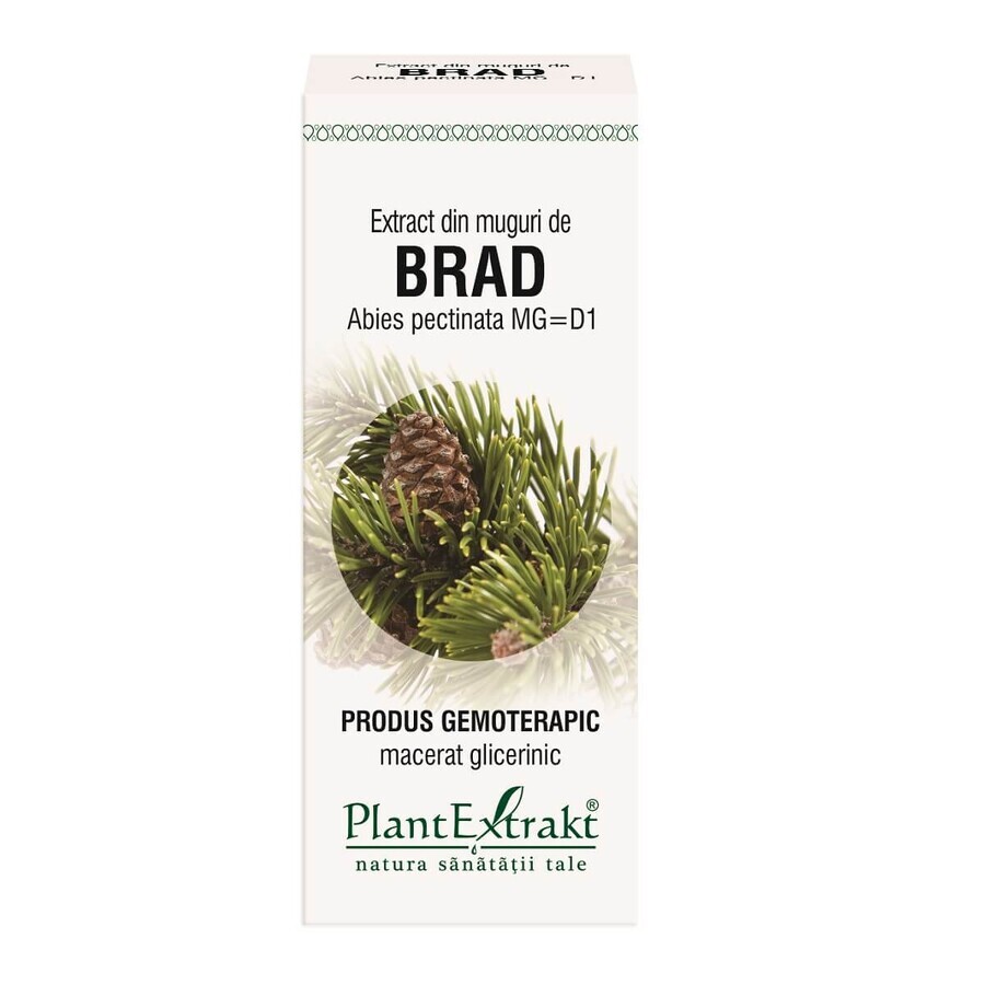 Extracto de brotes de Brad, 50 ml, Plant Extrakt