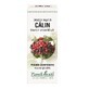 Extracto de yemas de cola de caballo, 50 ml, Plant Extrakt