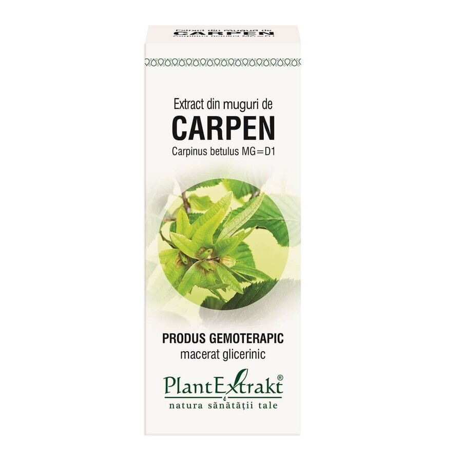 Extracto de capullo de liebre, 50 ml, Plant Extrakt