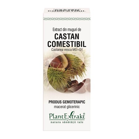 Extracto de yema de castaño, 50 ml, Plant Extrakt