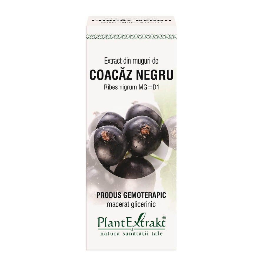 Extracto de yemas de grosella negra, 50 ml, Plant Extrakt