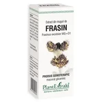 Frasin Knospenextrakt, 50 ml, Pflanzenextrakt