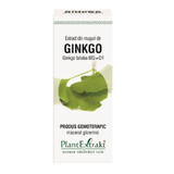 Extracto de yema de Ginkgo Biloba, 50 ml, Plant Extrakt